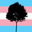 tree82373 (she/her) :3