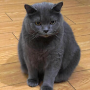 为什么你头顶尖尖的