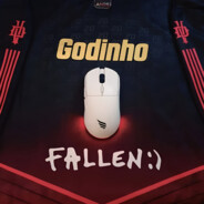 FalleN火R影Godinho