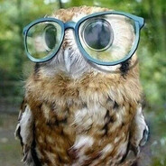 КОПРОФИЛЬНЫЙ МАГНАТ