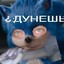 akseng