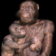 Violent Chimp