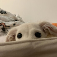 Олег трансмиссия