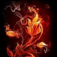 打我队友别打我