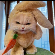 专打瘸子的好腿