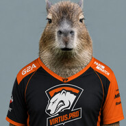 Bobloskins.army