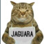 JAGUARA