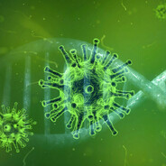 Virus