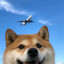 cheng