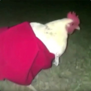 Red Dress on Tonight