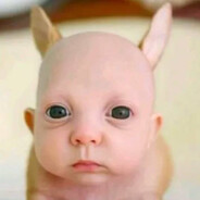 FratX1_