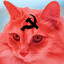 Gatitocomunista