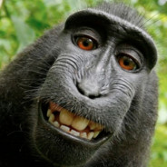 HOLAQAC avatar