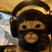 CAPULCU - steam id 76561198894221301
