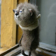 main belladonna consumer