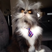 Niz Old - steam id 76561197965836648
