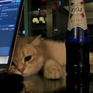 想把鲜花送给你