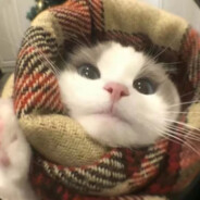 取名字很难的啊