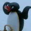 Pingu