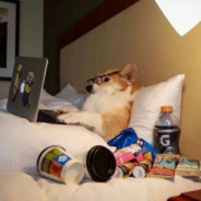 栗悟饭与龟波气功