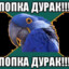ПОПКА ДУРАК!
