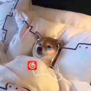 守住A大她就会回来吗