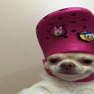 TAG гав гавыч