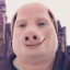 John Pork
