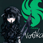 NanOkA