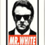 mr.White