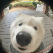 顶尖无脑且干拉的辉