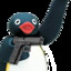 Pingu