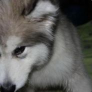 睡你嘛逼起来嗨