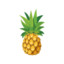 Pineapple_The_Fruit_Dude