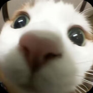 𝗞𝗧𝘀𝟭𝗲𝗲𝗽𝘆