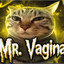 vagina man