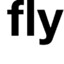 flyEM
