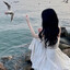 夏笙.
