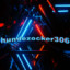 hundezocker306