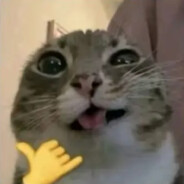 Zondie