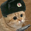 Communist Cat