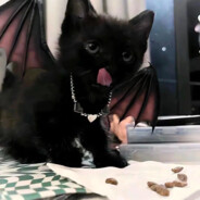 赵本山卖二手机苹果