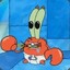 Baby Krabs