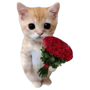 Horloo
