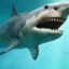 Nigalodon