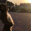 sosatь ◕‿◕