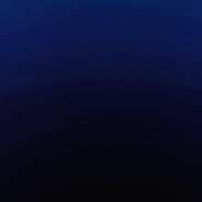 NT1-