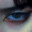 Xxxxxxxxx Avatar