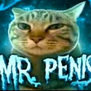 Mr. Penis