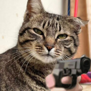 开局偷穿麦叔白内裤